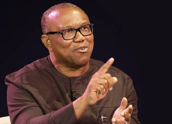Budget 2024: Obi unearths more insensitive and undeserving allocations.