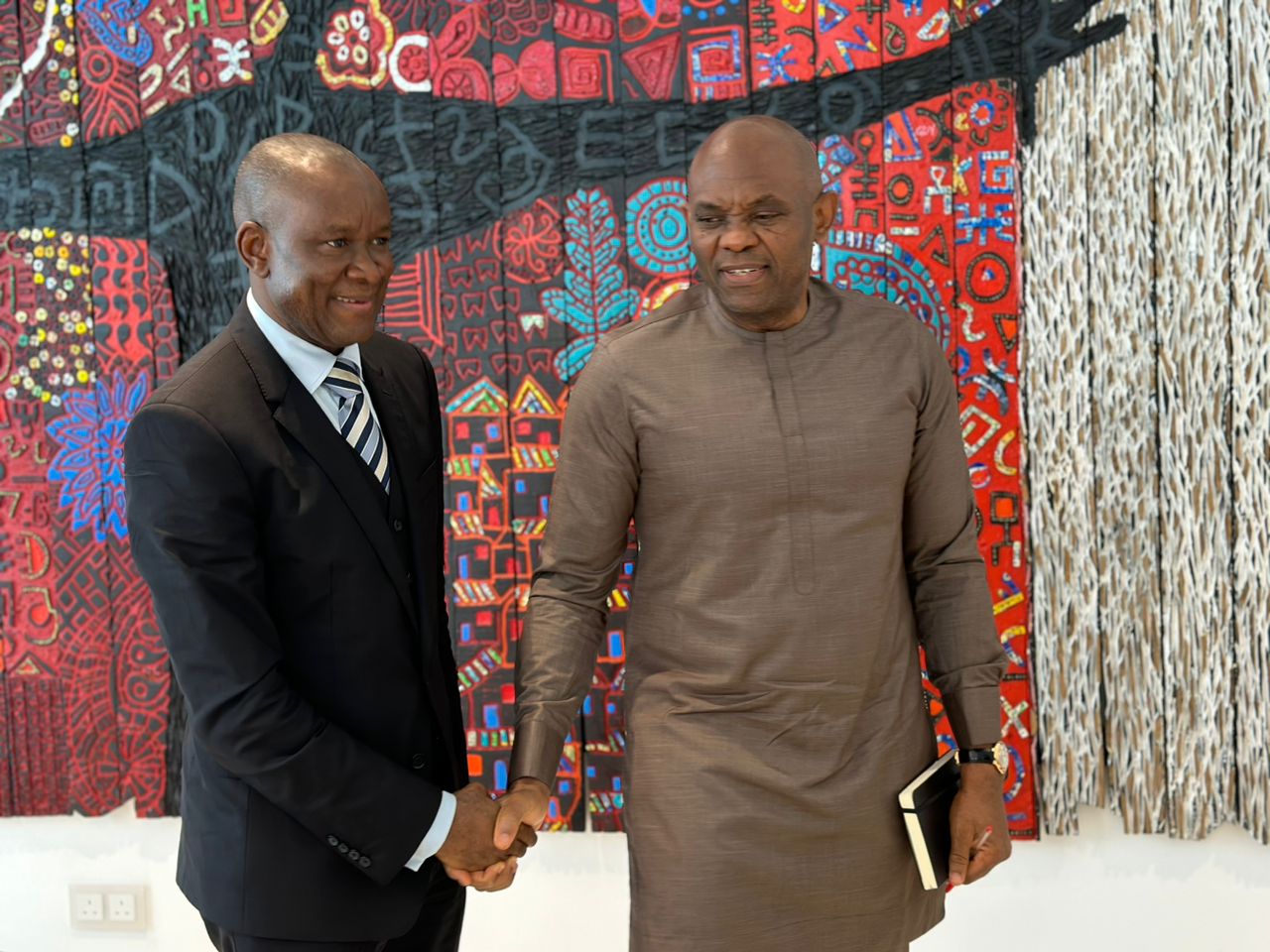 Sports Minister Woos Tony Elumelu, Abdul Samad Rabiu, Others on Need to Invest in Local Clubs