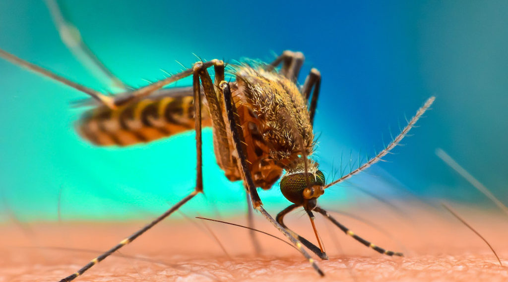 Rep urges FG to declare state of emergency on malaria