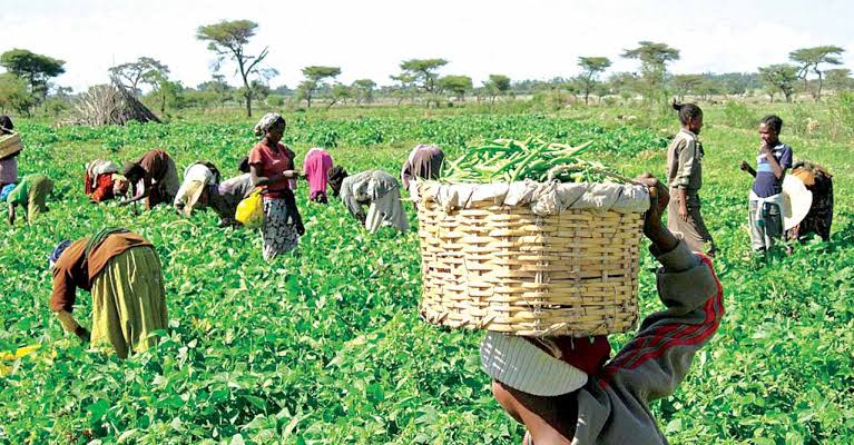 Agric Ministry, farmers asssociation, partner to  improve farmers’ livelihood
