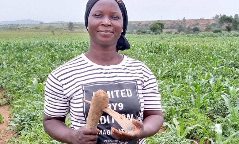 Food security: We are ready for dry season farming -women farmers 