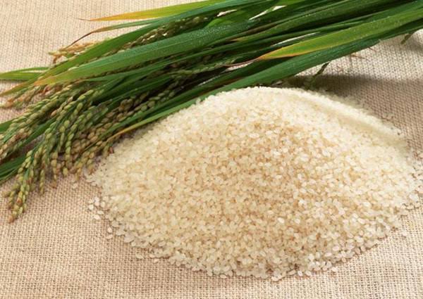 FG trains women from 7 states on rice processing