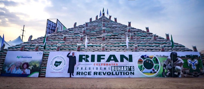 Unity Bank partners RIFAN to unveil mega rice pyramid
