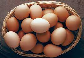 Poultry Association laments rising cost of eggs