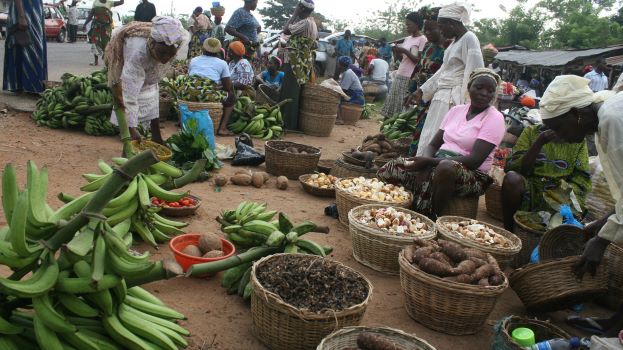 Global food prices rose ‘sharply’ in 2021 – FAO