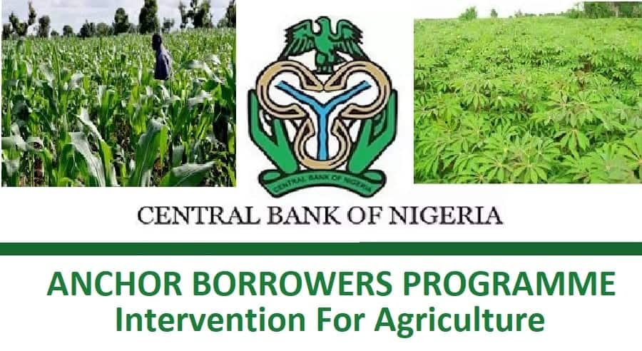Anchor Borrower Programme: Enugu AFAN decries alleged late supply of farm inputs
