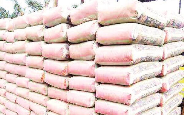 Cement price Hike Will worsen Country’s Economy....Dr. Wammako ...Urges President Tinubu to Intervene Immediately