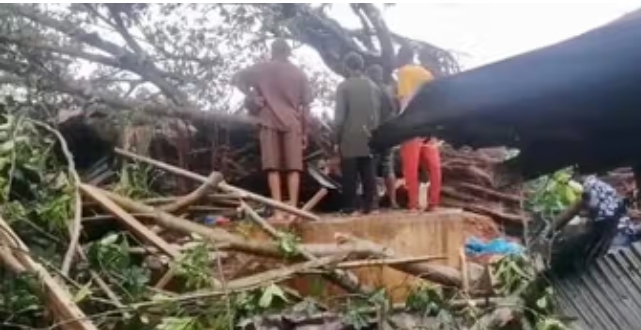 6 killed as trees fell on traders in Jattu market aftermath of heavy rain