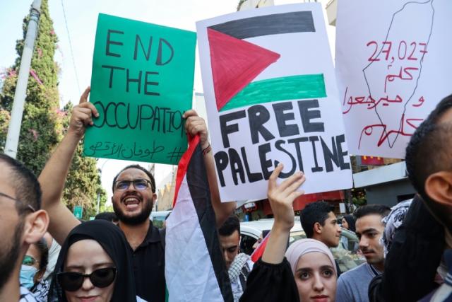 Palestinian solidarity protest takes place in Vienna despite ban