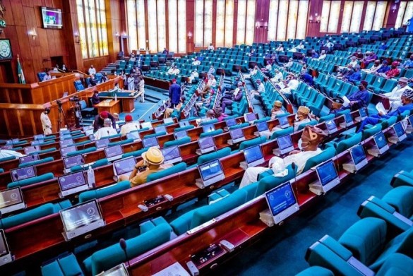 Reps invite minister over N1.1trn conditional transfer