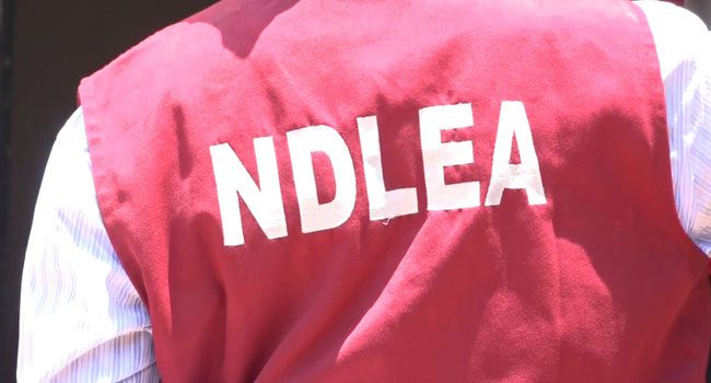 Drug abuse kills dreams, NDLEA warns Ogun students