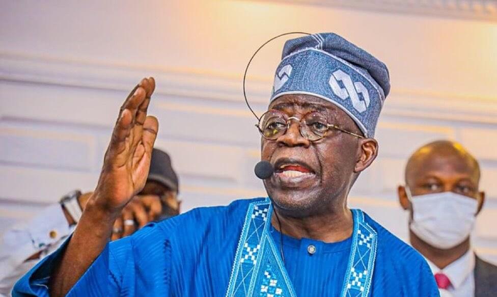 NECA lauds tinubu's tax reforms, advocates additional modifications