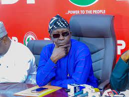 PDP suspends Ayu over anti-party activities