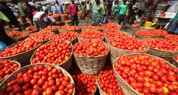 FCT housewives ditch tomatoes for stews as cost skyrockets