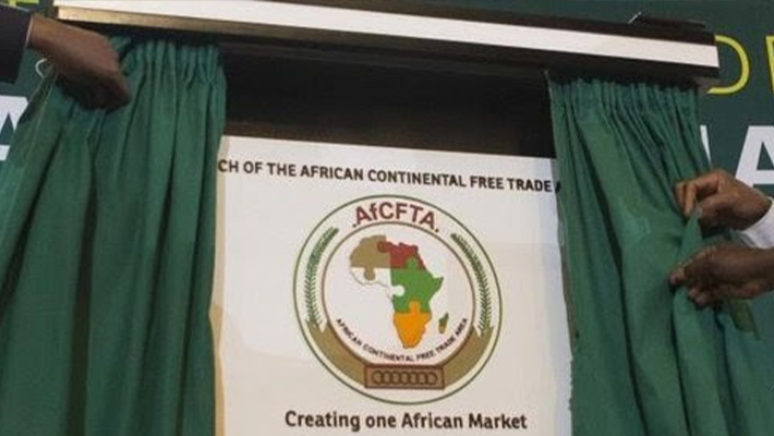 South Africa seeks seamless intra-Africa trade