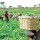 We’ll work with private sector for agric, economic growth – ARCN