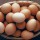 Poultry Association laments rising cost of eggs