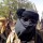 Just In: Bandits take over Kaduna Airport, kill one NAMA staff