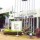 UNILORIN don invents surgical procedure for treatment of VVF   