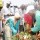 FCTA begins beautification, landscaping of Abuja airport road