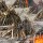 Panic as India records more than 4,000 COVID-19 deaths in a day