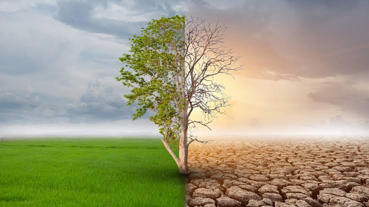 FG retariates commitment to combat Climate Change issues