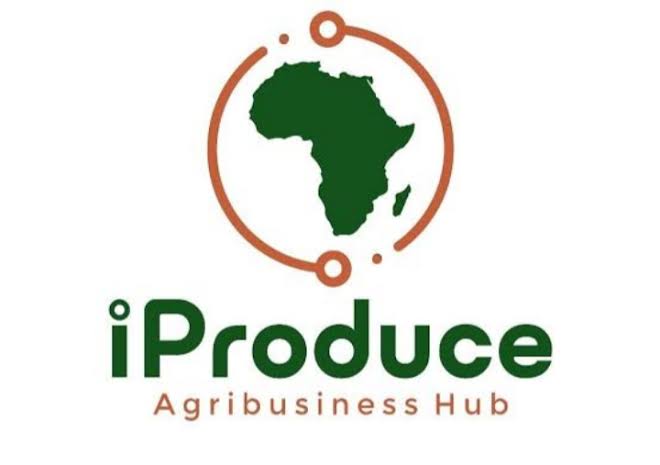 IDB to boost export capabilities of Nigerian SMEs, agripreneurs