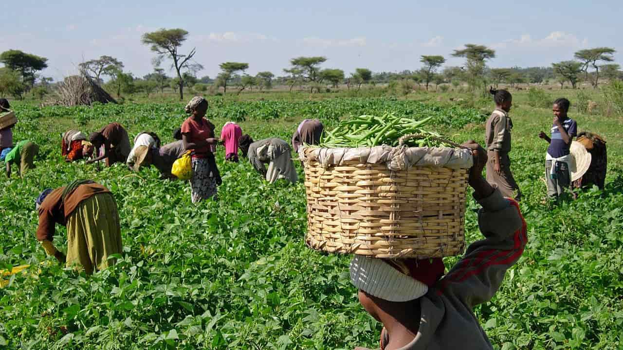 FG distributes 190 improved post-harvest storage facilities to farmers’ groups in Oyo