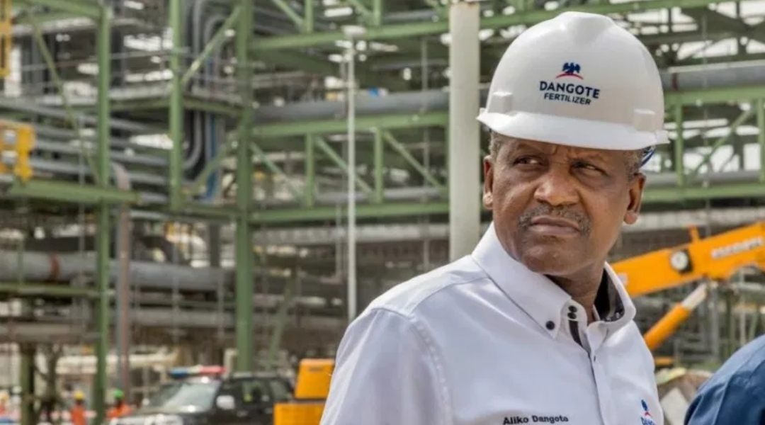 Dangote commences sale of fertiliser