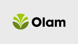 Olam BIP record reveals impact across Agric value chain