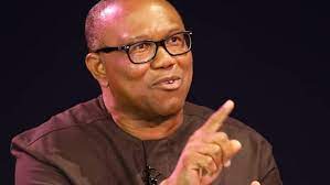 Peter Obi urges FG to invest borrowed funds