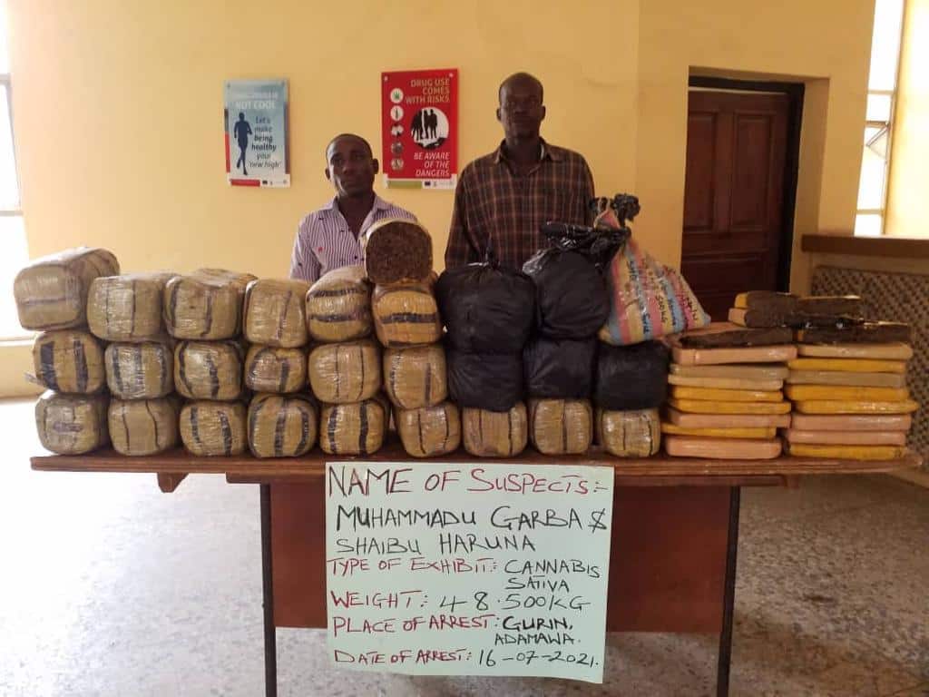 NDLEA arrests Anambra drug kingpin, recovers 548,000 Tramadol tablets