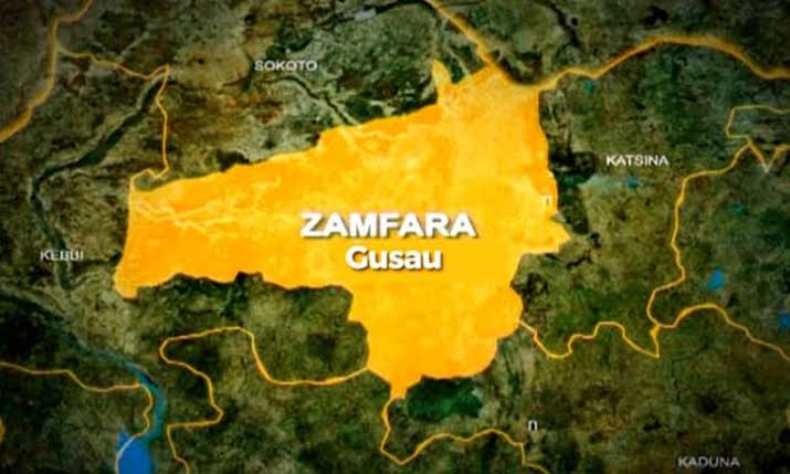 Zamfara college offers free education to PWDs to promote inclusion –provost