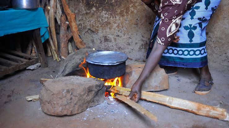 Firewood sellers make profit as Nigerians abandon costly cooking gas