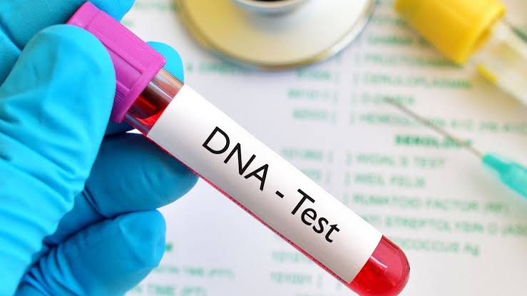 EndSARS: Panel orders independent DNA test to ascertain child’s parentage