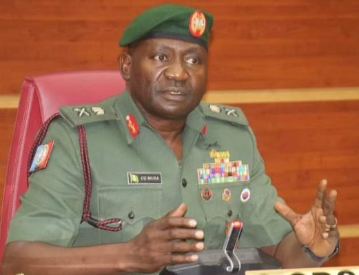 We should all stay back, fight for Nigeria – Defence Chief   