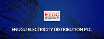 2 arrested over assault on EEDC officials