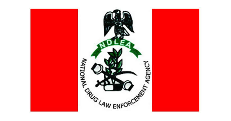 NDLEA arrests 330 drug traffickers, secures 48 convictions in 2021 in Oyo