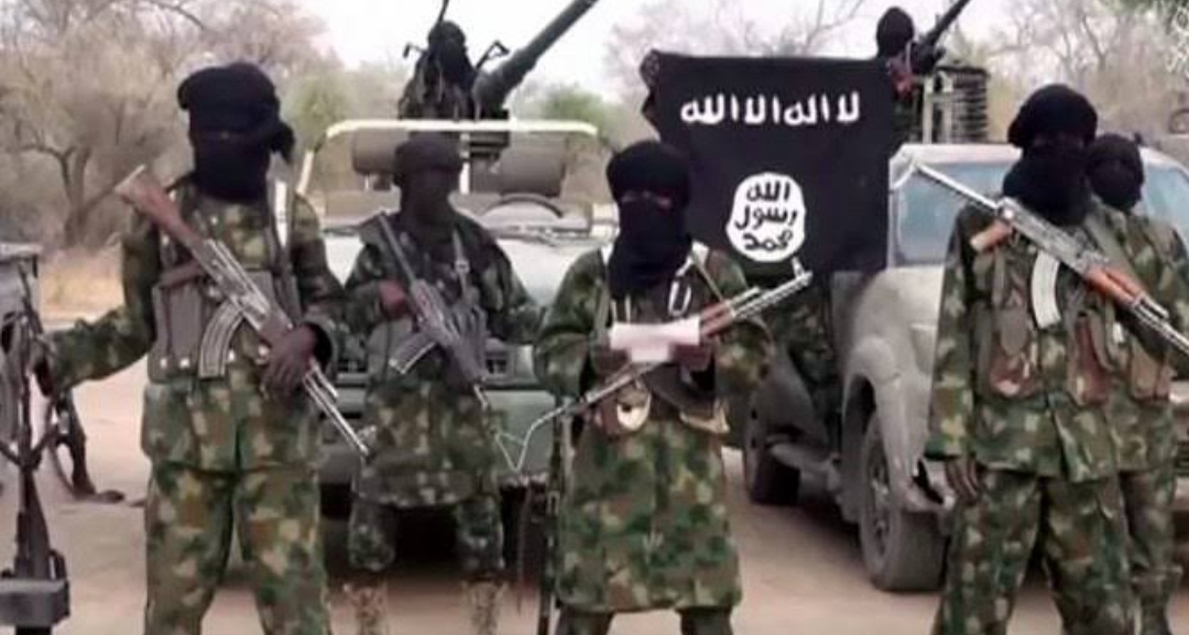 Boko Haram/ISWAP frees UN staff, nine others