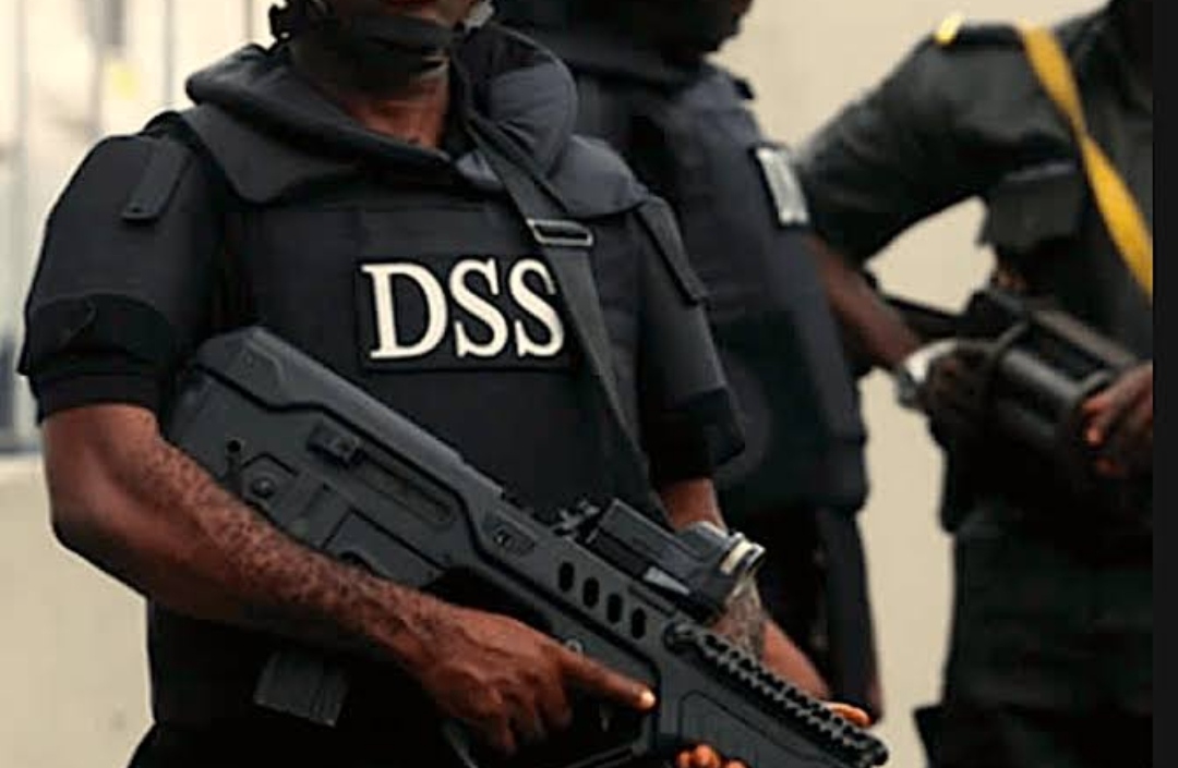 Group condemns call for DSS boss resignation