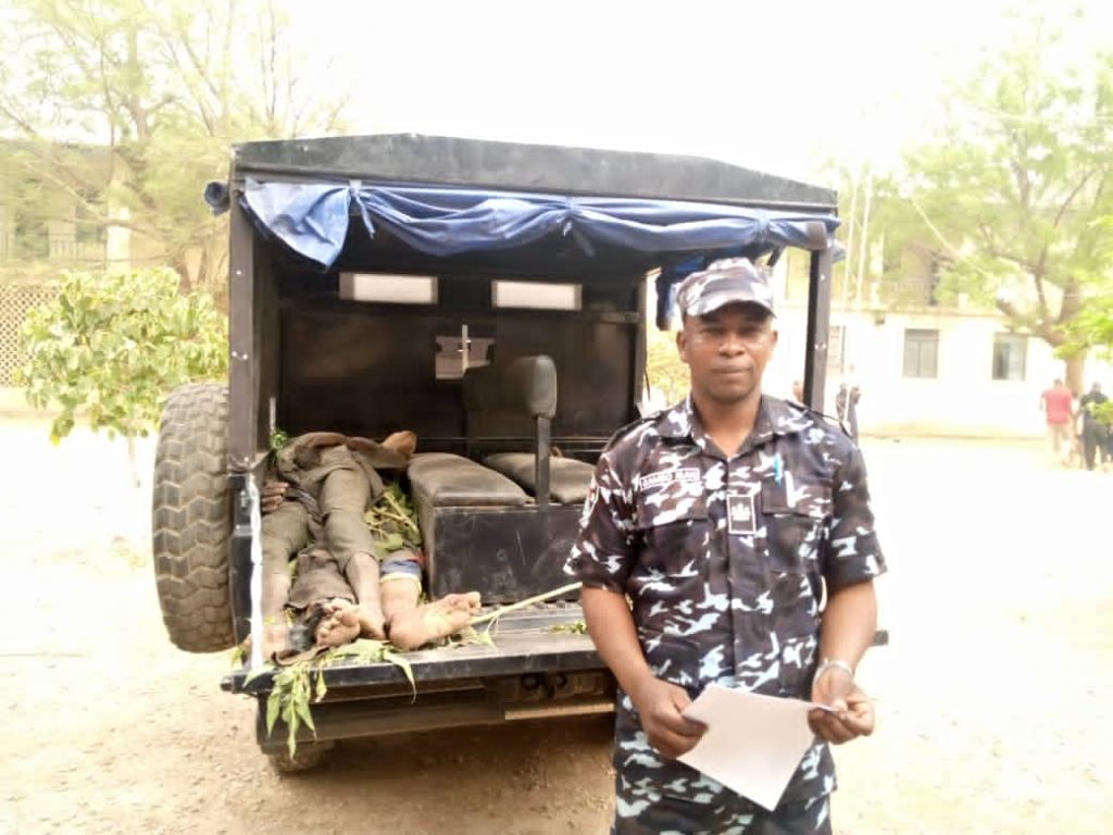 Police neutralise 4 suspected terrorists, recover 186 rustled animals in Katsina