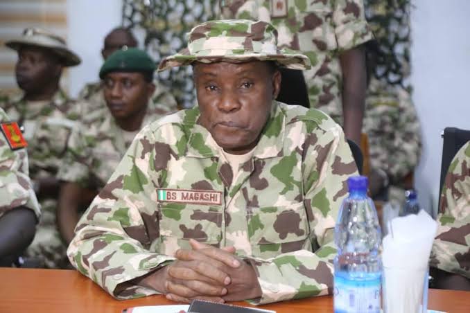 Nigerian troops not culpable in human rights abuses – Magashi