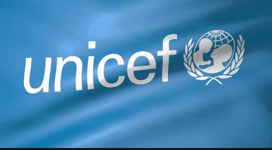 UNICEF trains 1,500 youths on vocational education in Adamawa